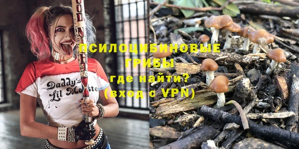 мдпв Беломорск