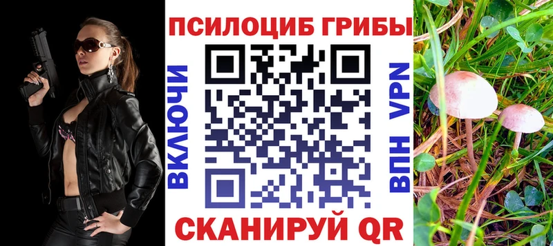 Псилоцибиновые грибы мицелий  Воркута 